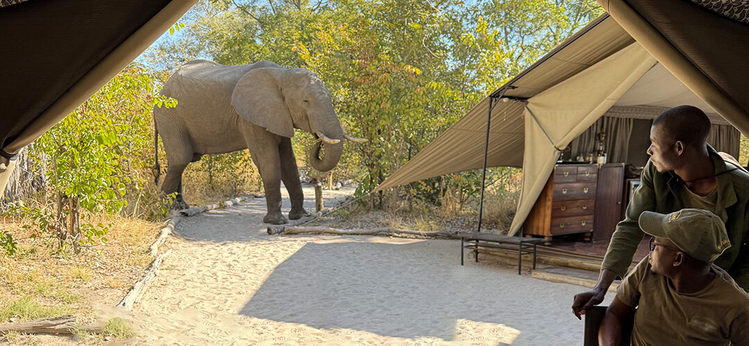 Session Story – In Africa, we do magic. We believe in magic.